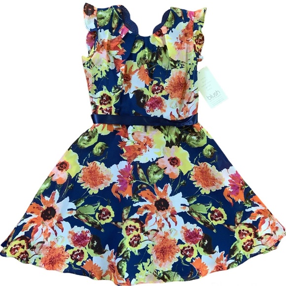 *NWT* Beautiful floral Blush by Us Angels dress - Picture 1 of 6